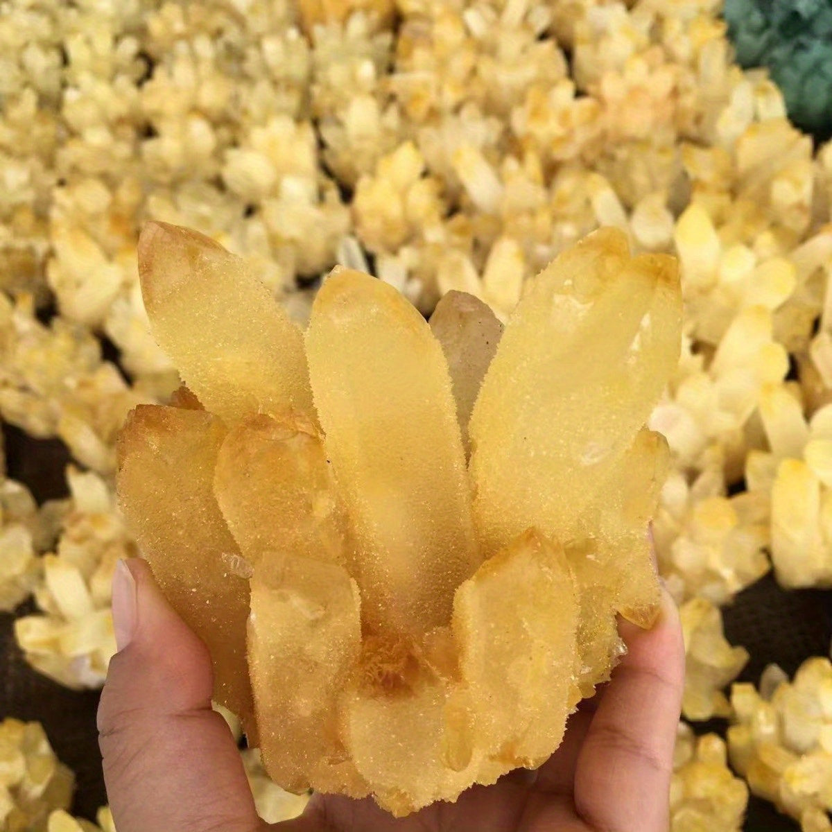 Large Natural Citrine Crystal Cluster Lucky Stone Gift