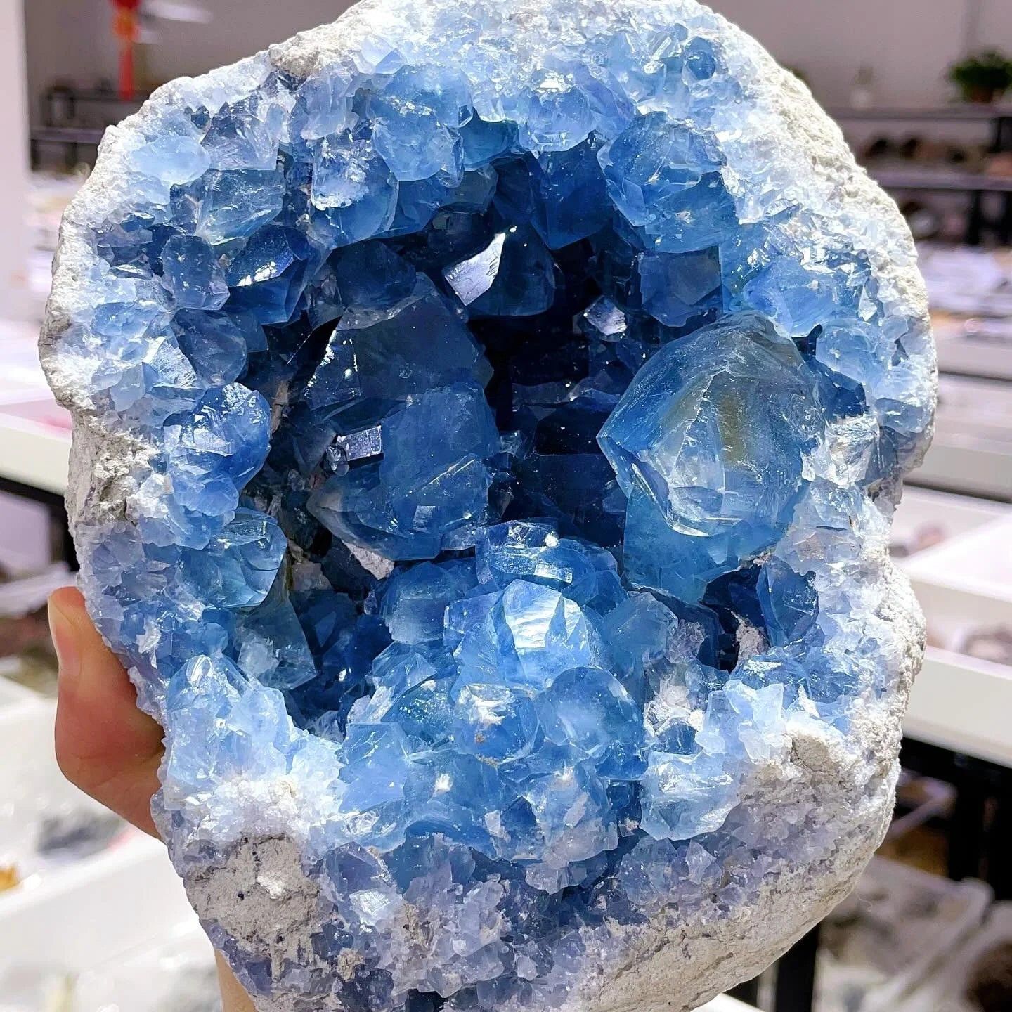 CrystalHola Celestite Geode Cluster Healing Crystals Natural Stone
